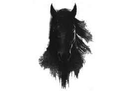 Darkhorse Movers Logo